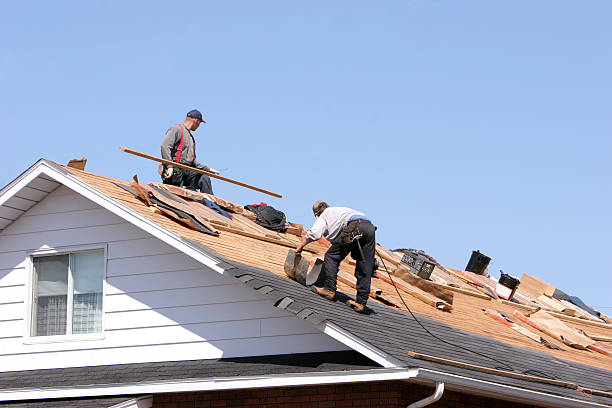Best Sheet Metal Roofing  in Kansas City, MO